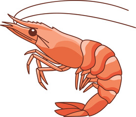 isometric shrimp, vector clean shape.