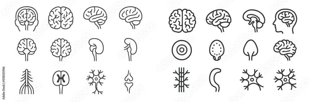 Poster collection of brain, neuron, and anatomical illustrations in a minimalistic design suitable for educ