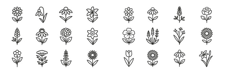 Various hand-drawn flower illustrations in a clean, minimalistic style showcasing floral diversity and artistic expression