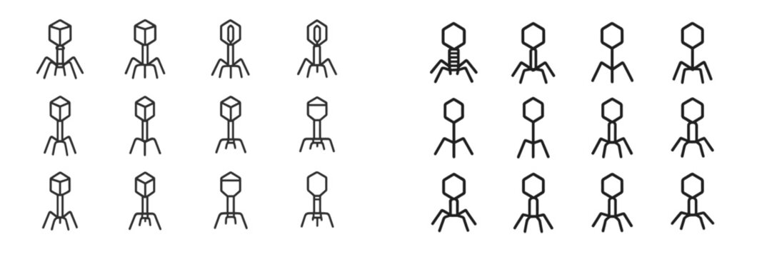 Various types of bacteriophages depicted in a grid layout showcasing their structural features and shapes