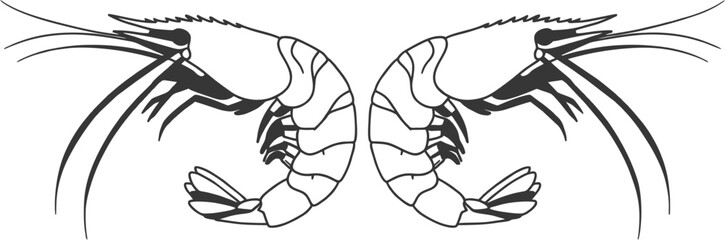Two Shrimp Outline Vector in Symmetrical Design