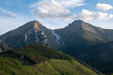 Fototapeta premium View of Ždiarska vidla and Havran peaks in the High Tatras, Slovakia, with forested slopes and green meadows in the foreground, captured near the village of Ždiar.