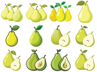 Pear fruit vector illustration isolated on white background.