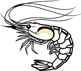 Stylized Shrimp Drawing with Bold Contours in Vector.