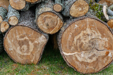 Pile of cut firewood logs and chopped tree trunks, seasoning heating fuel. High quality photo