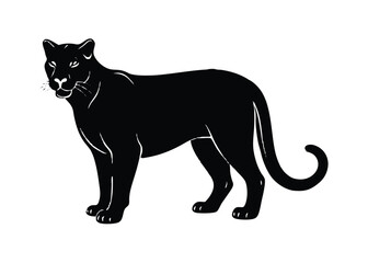 black and white tiger vector