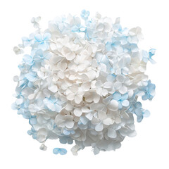 Beautiful arrangement of delicate white and light blue flowers creates serene and calming atmosphere, perfect for decoration or artistic projects