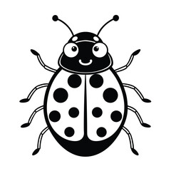 vector ladybug on white background