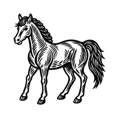 black horse illustration vector on white background