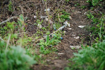 Forest trail with scattered plastic bottles and trash among spring greenery. Concept of environmental pollution, waste management, and human impact on nature.
