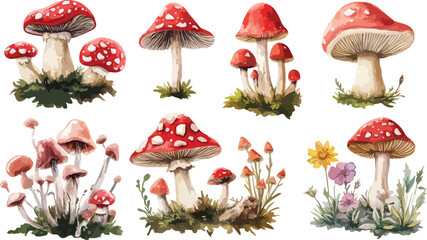 Collection of Watercolor Style Red and Pink Mushrooms with Flowers and Grass