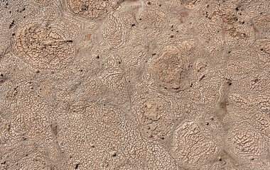 Background photography of dry cracked sand, ground, drought, dirt, barren, mud, abstract, grunge pattern, textured
