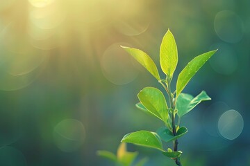 High Resolution Visual of Close Up of Plant Against Blurred Background
