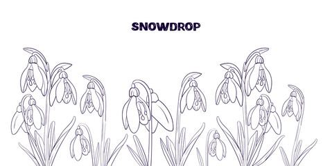 set snowdrop spring wild flowers black and white line. collection outline flower drawn in vector by hand on white isolated background