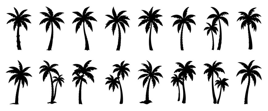 Palm tree silhouettes set &ndash; black palm tree shapes collection, isolated vector on white background