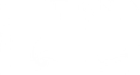 Clean, simple white background image. Perfect for websites, presentations, and designs.