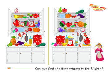 Can you find the item missing in the kitchen? Logic puzzle for smartest. Educational game for children. Page for kids brain teaser book. Task for attentiveness. Play online. Flat vector illustration.