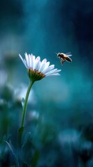 Realistic macro photo of a daisy in early bloom, one bee in mid-flight approaching