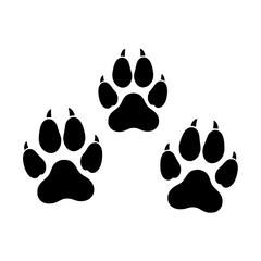 dog paw prints © MalFrancis