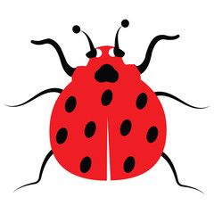 Lady bug icon vector. Nature insect for lady bug. Vector illustration.	
