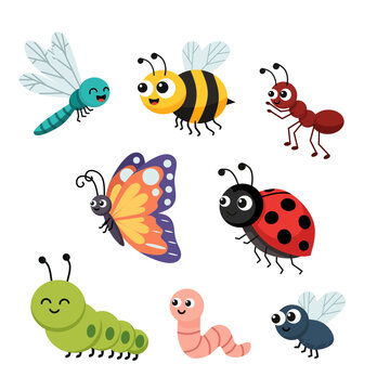 Set of cute cartoon insects including bee, ant, dragonfly, butterfly, caterpillar, ladybug, worm, and fly. Colorful, flat vector design for kids and education