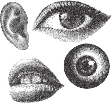 Human body parts eye, eye ball, lip, ear monochrome stipple photocopy effect grunge punk collage element