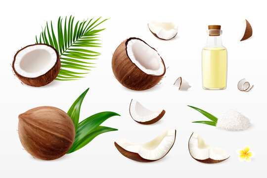 Realistic coconut. 3d coco slice, coconuts iol cosmetic cream milk 3d tropical fruit dry coconut flakes palm leaf flower raw butter product, isolated exact vector illustration