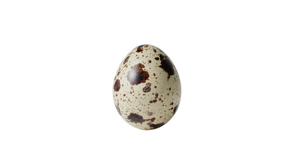 A single quail egg with a cream colored shell and brown spots. The egg is small and speckled, against a plain white
