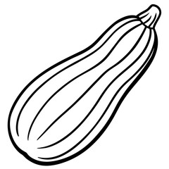 Fresh Zucchini line art vector illustration of a vegetable