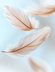 Naklejka premium Soft floating feathers on light blue background