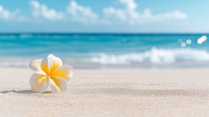 Fototapeta premium A single frangipani flower resting on smooth beach sand with ocean waves and a blue sky in the background. Peaceful, tropical image perfect for travel, nature, and relaxation themes