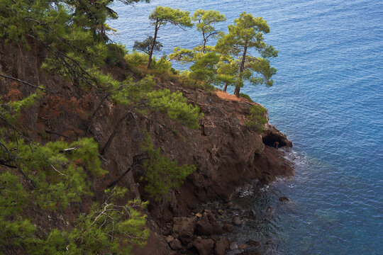 Rocky cliff and pine trees overlooking clear blue sea. Kabak Beach in Turkey