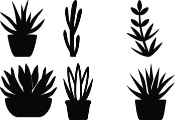 Collection of different potted plants black silhouettes on a white background