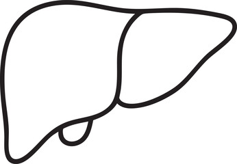 Simple Line Drawing of a Human Liver with Gallbladder for Medical Illustrations clean black