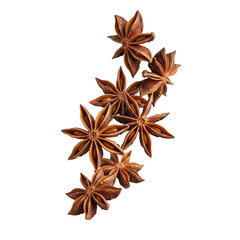 A group of star anise spices arranged   on transparent background