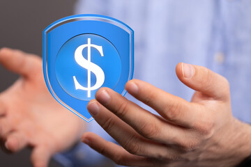 Image of hands holding a digital shield with a dollar sign, symbolizing financial security and...