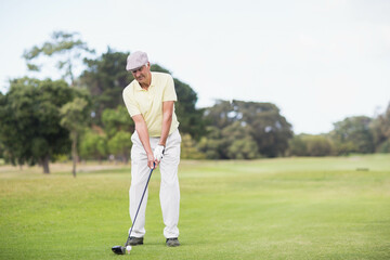 Fototapeta premium Senior man holding driver, wearing golf glove preparing to hit ball off wooden tee on fairway