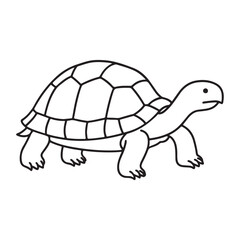 Clean Turtle Outline with Nature Elements