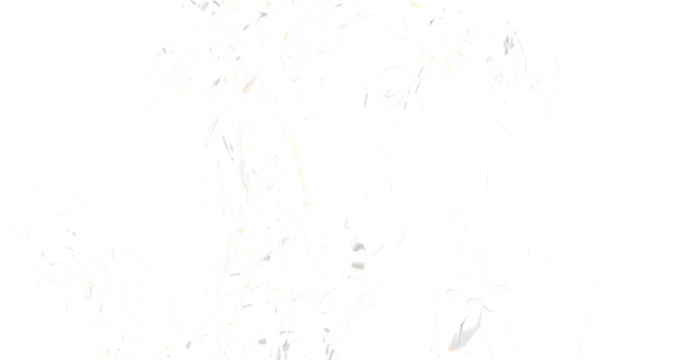 High-resolution image of an abstract white texture, perfect for backgrounds and designs.