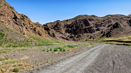 The landscape of the Gobi Desert in Mongolia