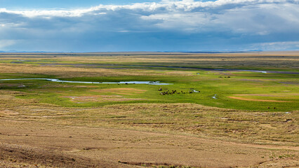 Fototapeta premium The landscape of the Gobi Desert in Mongolia