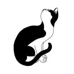 Hand-drawn cat in the traditional Korean 'minwha' style 