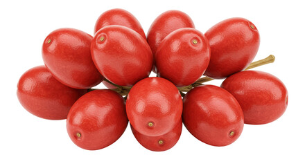 Isolated bunch of coffee cherries
