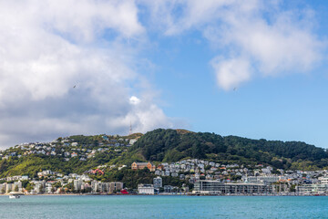 Fototapeta premium Cityscape of Wellington, the capital city of New Zealand