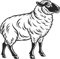 Minimalist Black and White Sheep Line Drawing