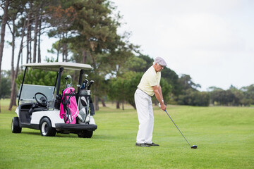 Senior golfer is preparing to swing on fairway beside golf cart carrying pink and black bags