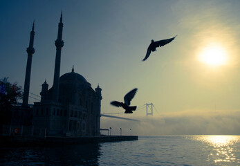 View of July 15 Martyrs Bridge (Bosphorus Bridge) with seagull and sunrise in fog clouds. Foggy...