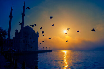 View of July 15 Martyrs Bridge (Bosphorus Bridge) with seagull and sunrise in fog clouds. Foggy morning view from Ortakoy Mosque and 15 Martyrs Bridge.