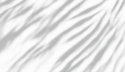 Obraz premium A 3D morning interior background displaying abstract window sunlight on an empty white wall with a modern panel backdrop for a sunny room space wallpaper studio