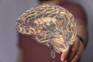 High-resolution image of a human brain, ideal for medical, science, and educational projects.